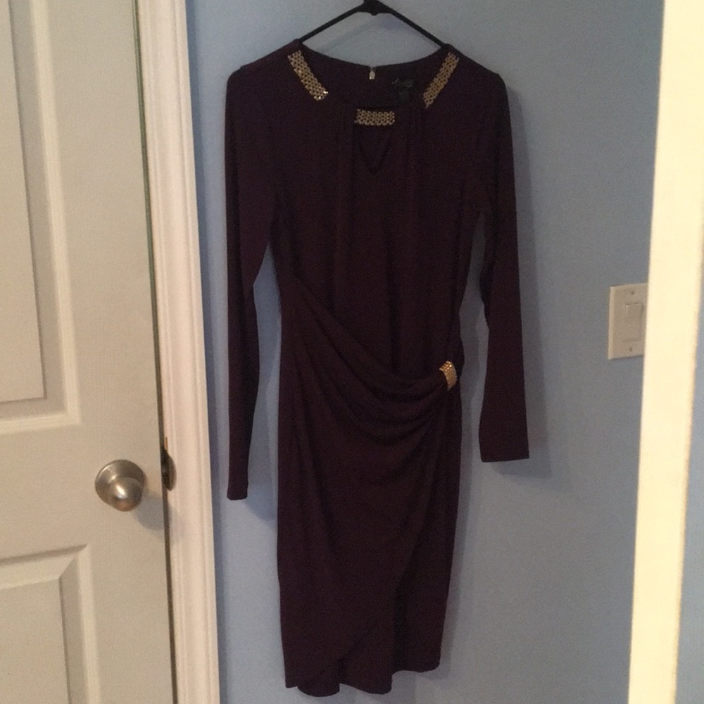Brand New Plum Dress